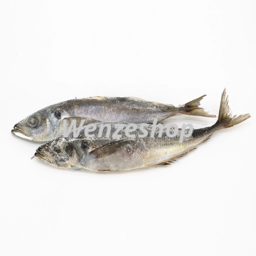 Poisson Chinchard
